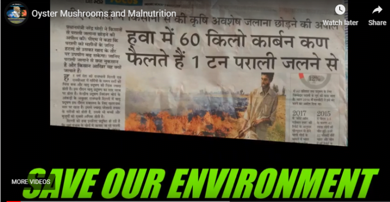 Save Environment