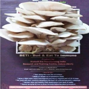 BETi GYM (Grow Your Mushrooms) AT Home