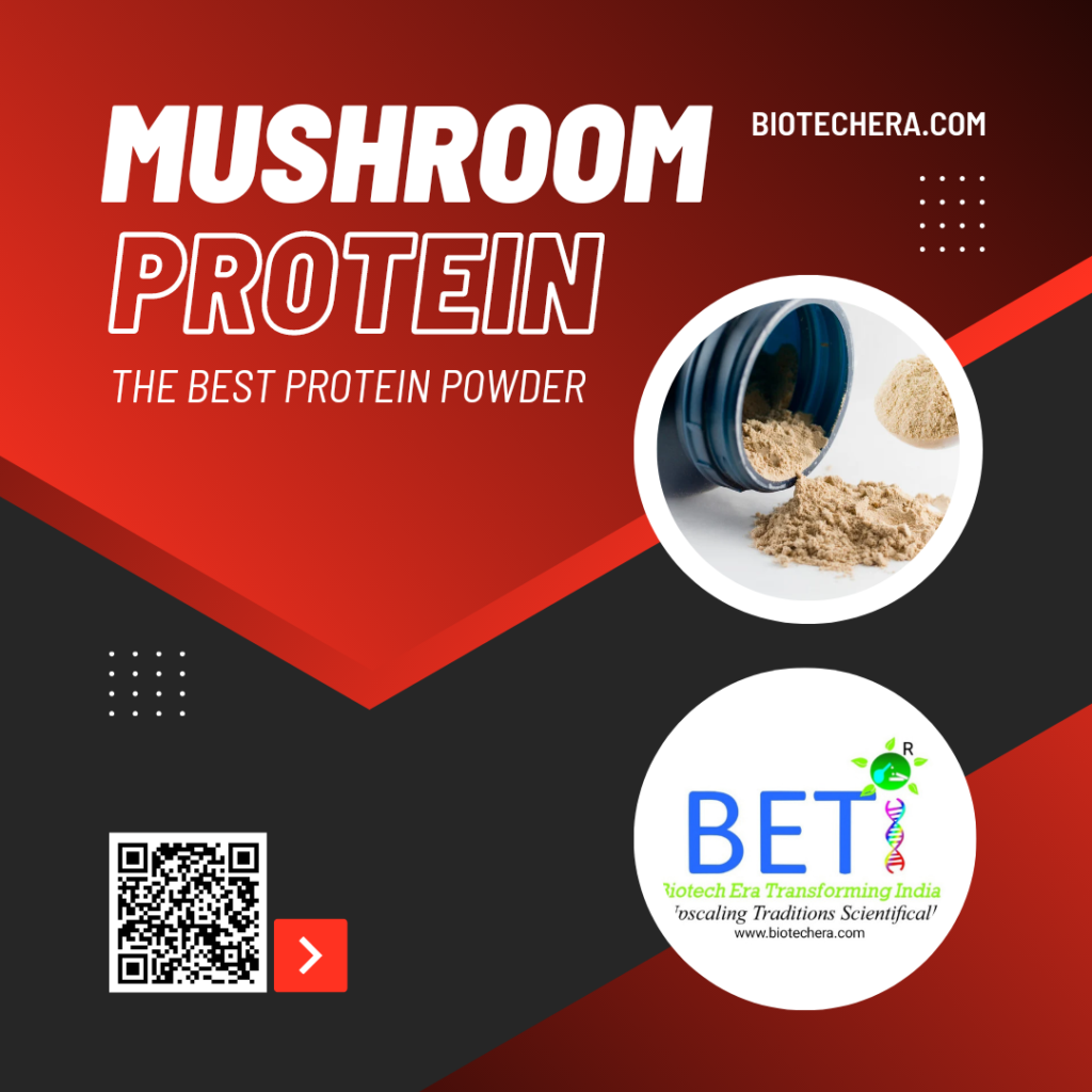 The Ultimate guide to Mushroom Powder