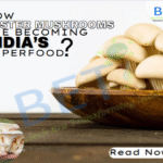 The Future of Nutrition Is Fungi: How Oyster Mushrooms Are Becoming India’s Superfood BETi