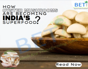 The Future of Nutrition Is Fungi: How Oyster Mushrooms Are Becoming India’s Superfood BETi