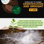 Desertification img BETi