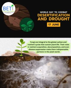 Desertification img BETi